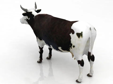 Vaca Modelo 3D