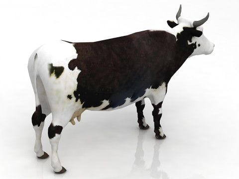 Vache Modèle 3D