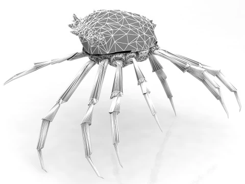 Red Rock Crab 3D Model