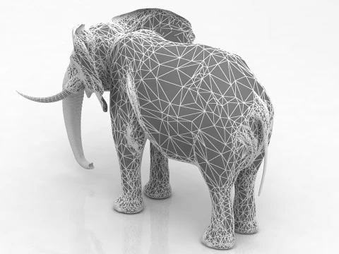 African Elephant 3D Model