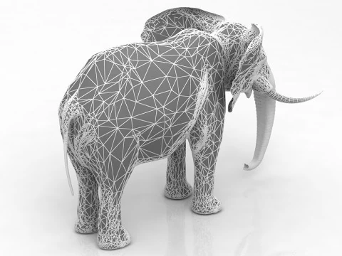 African Elephant 3D Model