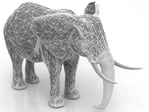 African Elephant 3D Model