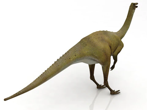 Gallimimus 3D Model