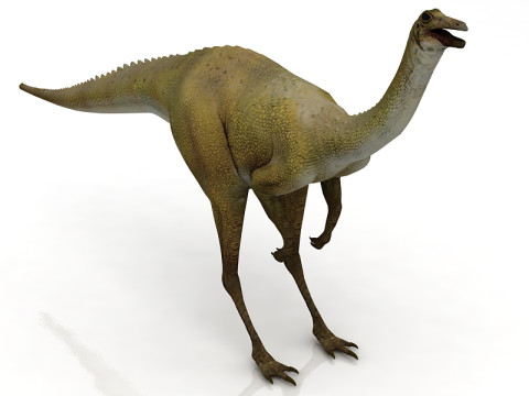 Gallimimo Modello 3D