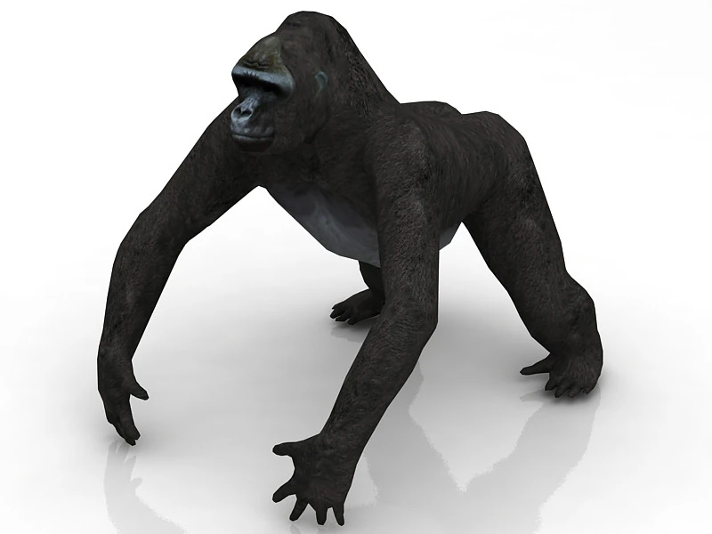 Gorilla Modello 3D .c4d .max .obj .3ds .fbx .stl .blend 