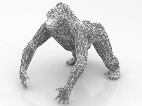 Gorilla Modello 3D