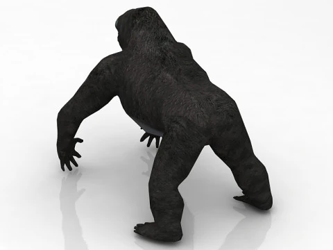 Gorilla Modello 3D