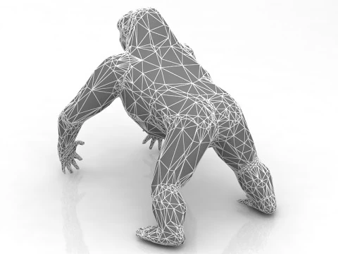 Gorilla Modello 3D