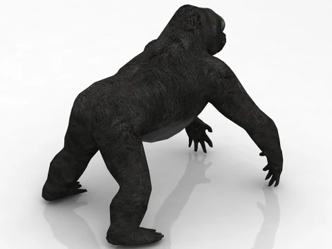 Gorilla Modello 3D