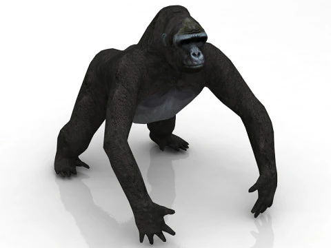 Gorilla Modello 3D