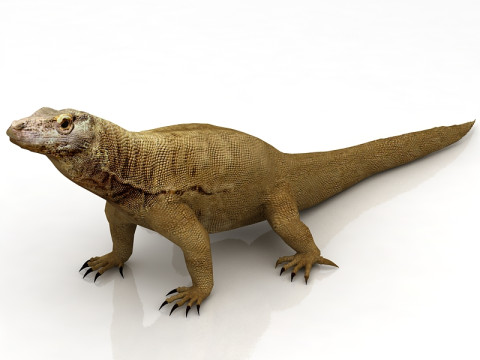 Komodo Dragon 3D Model