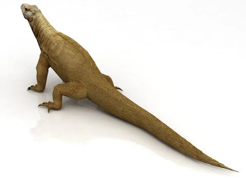 Комодский дракон 3D Модель
