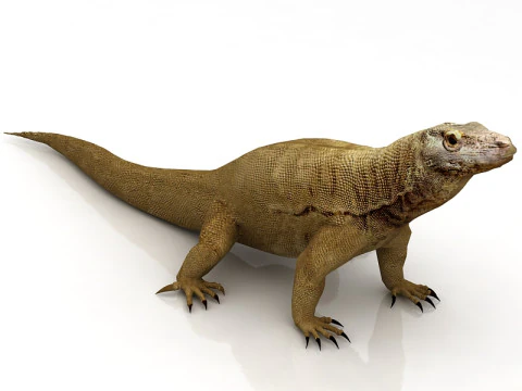 Комодский дракон 3D Модель