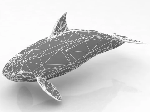 Katil balina 3D Model