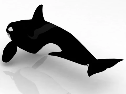 Katil balina 3D Model