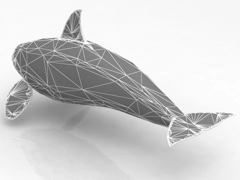 Katil balina 3D Model