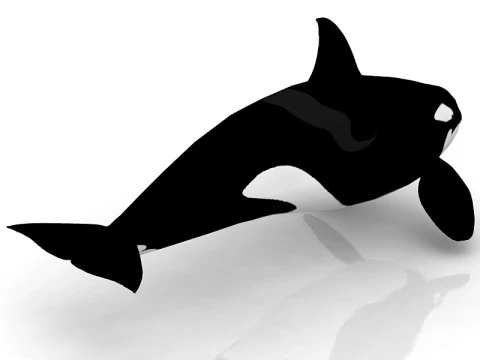 Katil balina 3D Model