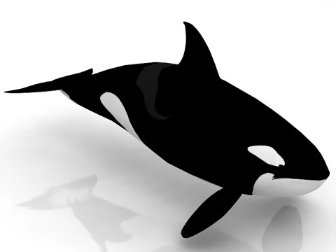Katil balina 3D Model
