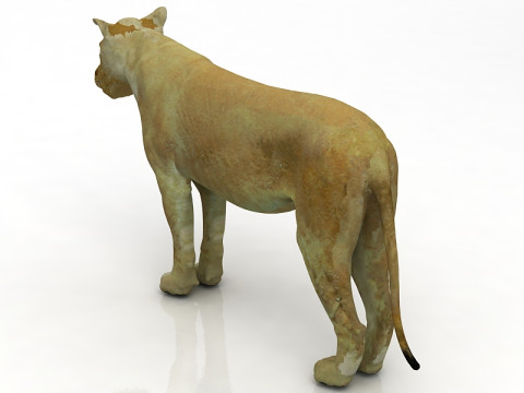 Dişi aslan 3D Model