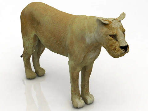 Leoa Modelo 3D
