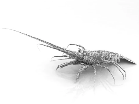 Lobster 3D Model