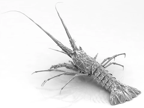 Lobster 3D Model