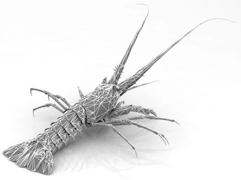 Lobster 3D Model