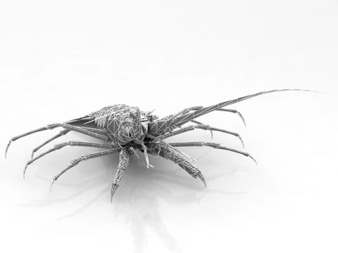 Lobster 3D Model