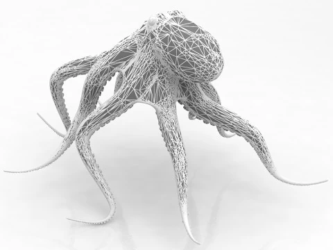 Octopus Crawling Pose 3D Model