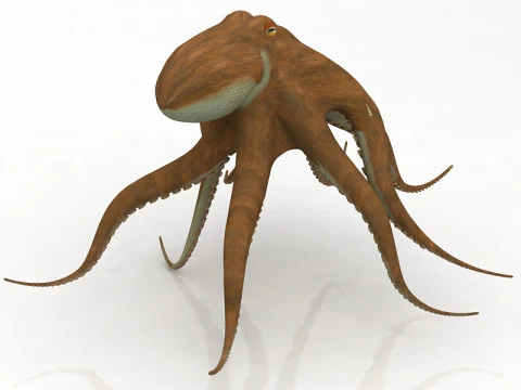 Octopus Crawling Pose 3D Model