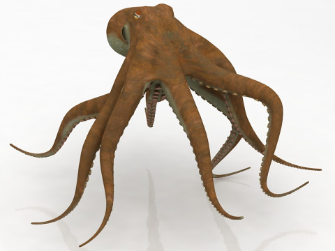 Octopus kruipende houding 3D Model
