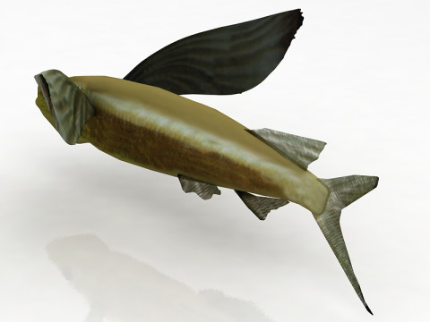 Pez exocoeto Modelo 3D