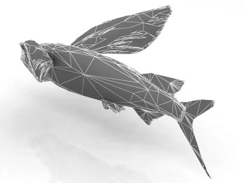 Peixe Exocoeto Modelo 3D