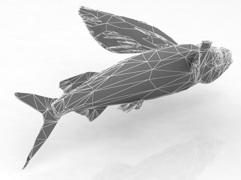 Pez exocoeto Modelo 3D