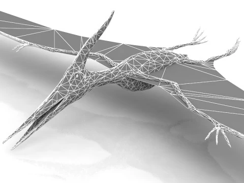 Pteranodon Flying Carnivorous Reptile 3D Model