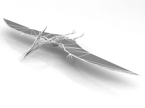 Pteranodon Flying Carnivorous Reptile 3D Model