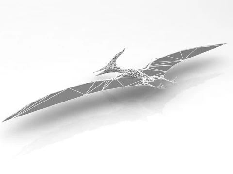 Pteranodon Flying Carnivorous Reptile 3D Model