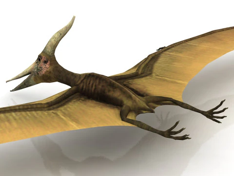 Pteranodon Flying Carnivorous Reptile 3D Model