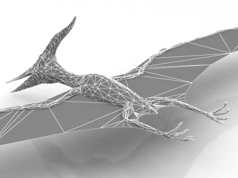 Pteranodon Flying Carnivorous Reptile 3D Model