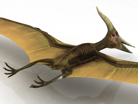 Pteranodon Flying Carnivorous Reptile 3D Model