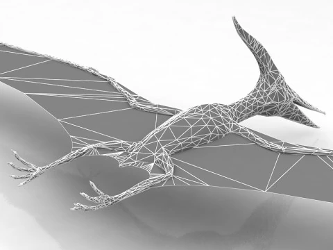 Pteranodon Flying Carnivorous Reptile 3D Model