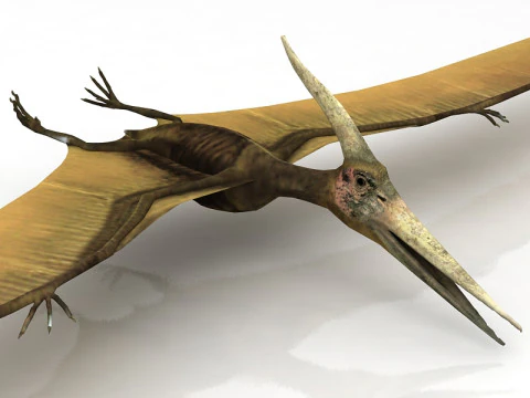 Pteranodon Flying Carnivorous Reptile 3D Model
