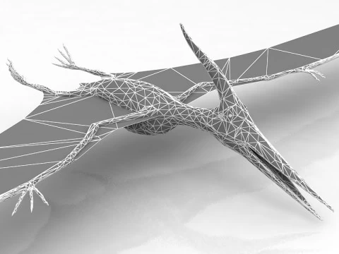 Pteranodon Flying Carnivorous Reptile 3D Model
