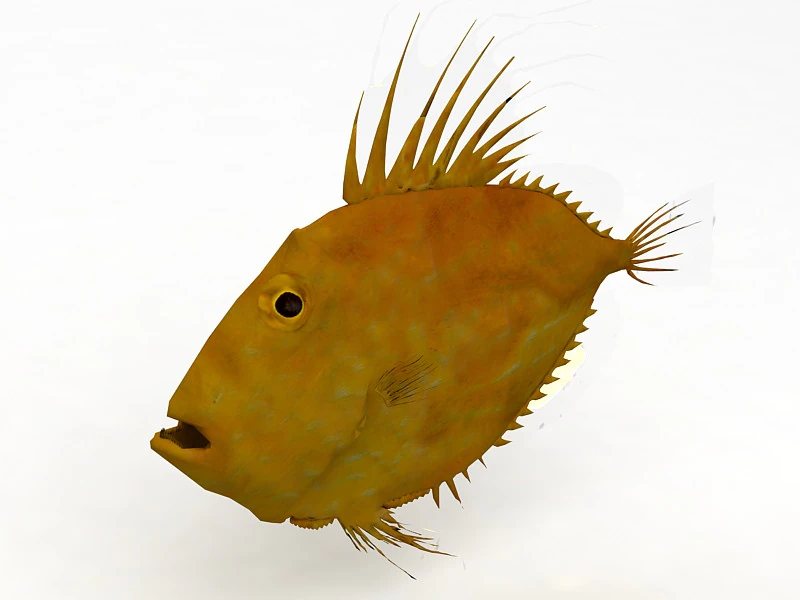 Piranha Modello 3D .c4d .max .obj .3ds .fbx .stl .blend 