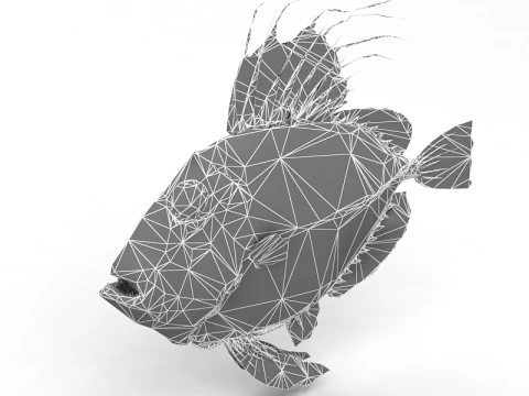 Piranha Modello 3D