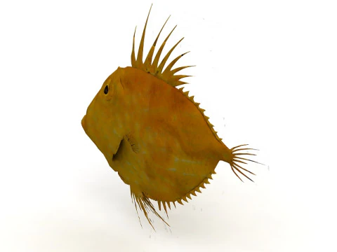 Piranha Modello 3D