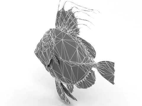 Piranha Modello 3D