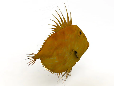 Piranha Modello 3D