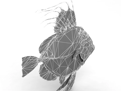 Piranha Modello 3D