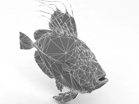 Piranha Modello 3D